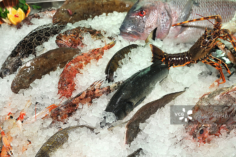 冰冻海鲜图片素材