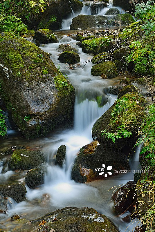 山林景观：淡水小溪图片素材