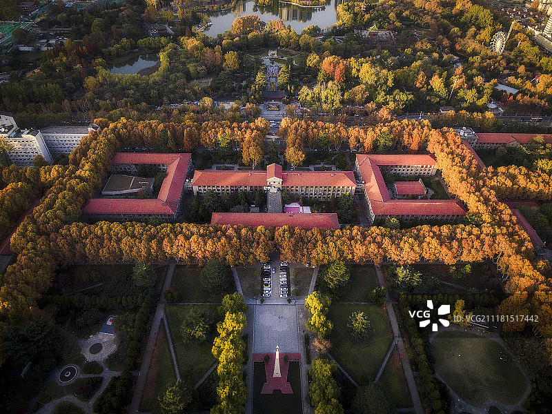 校园秋色图片素材