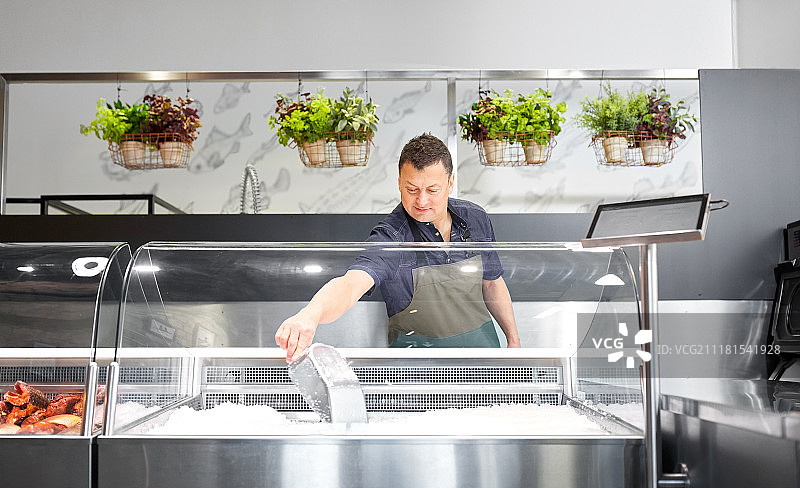 鱼店销售员向冰柜加冰图片素材