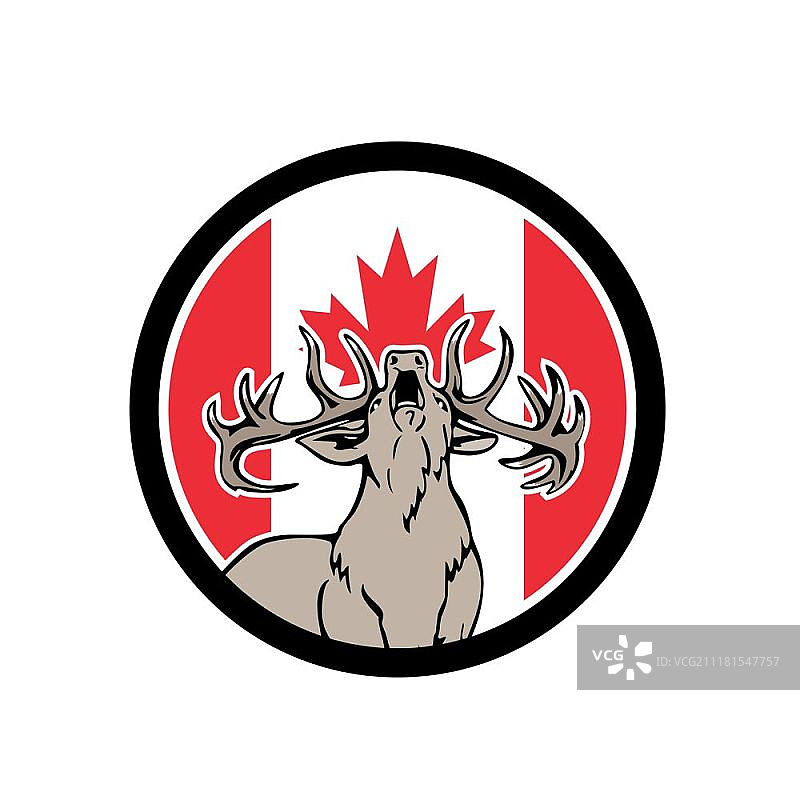 加拿大雄鹿吼叫复古风格插画，背景为加拿大国旗图片素材