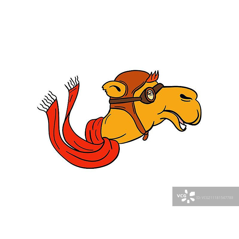 卡通飞行员骆驼戴着复古头盔的插画图片素材