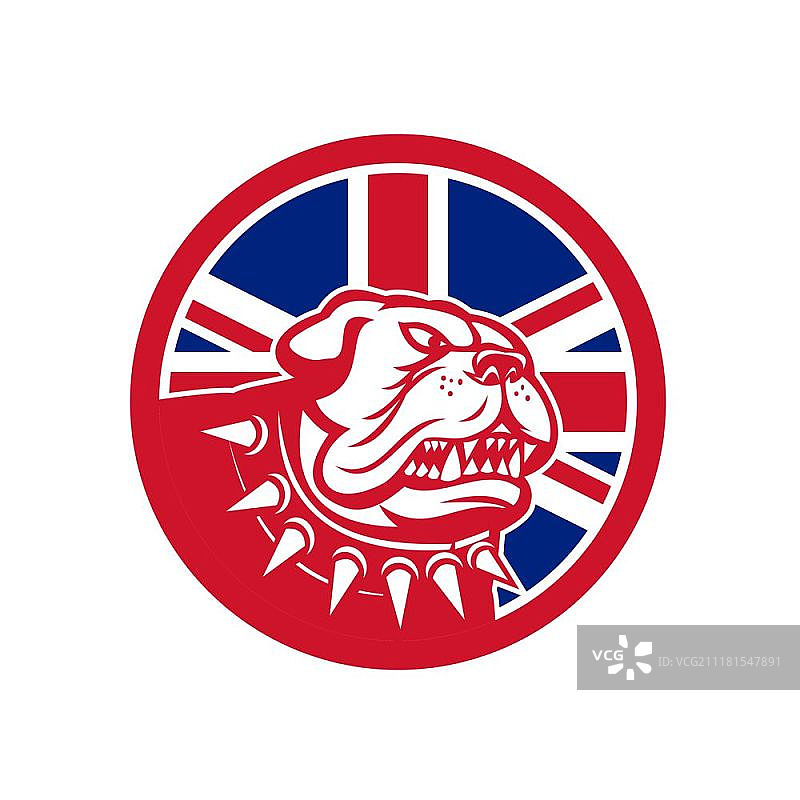 英国斗牛犬头联合杰克旗帜图标。复古风格的英国斗牛犬头戴着带刺的项圈，背景是英国国旗，在孤立的圆形背景中图片素材