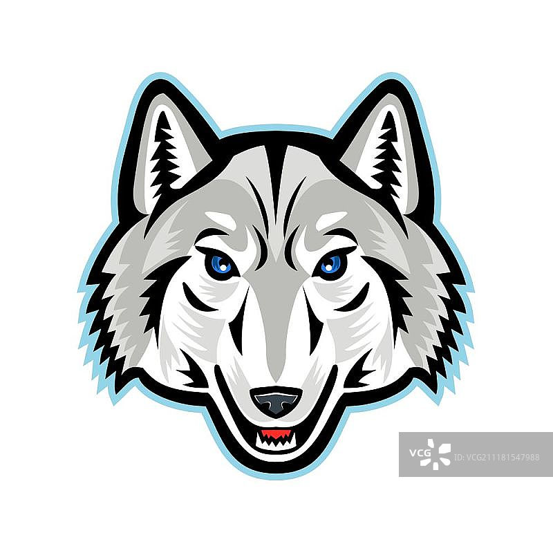 北极狼头像正面吉祥物插画图片素材