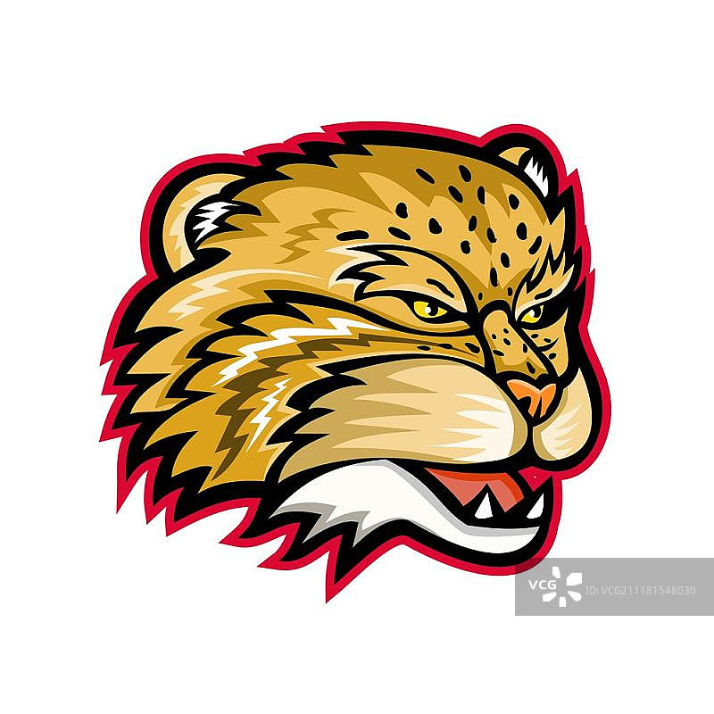 兔狲头部吉祥物，复古风格体育图标插画图片素材