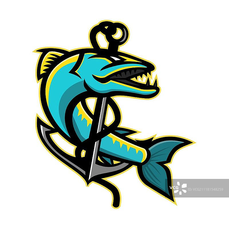 梭鱼和锚吉祥物图标插画：一条凶猛的蛇形咸水梭鱼缠绕在锚上，复古风格图片素材