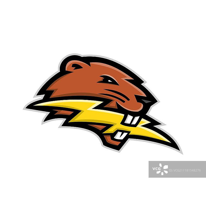 北美海狸咬着闪电的吉祥物图片素材