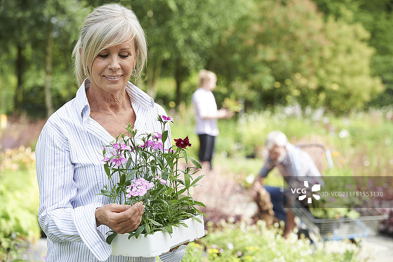 在中庭花园选择植物的中年妇女图片素材