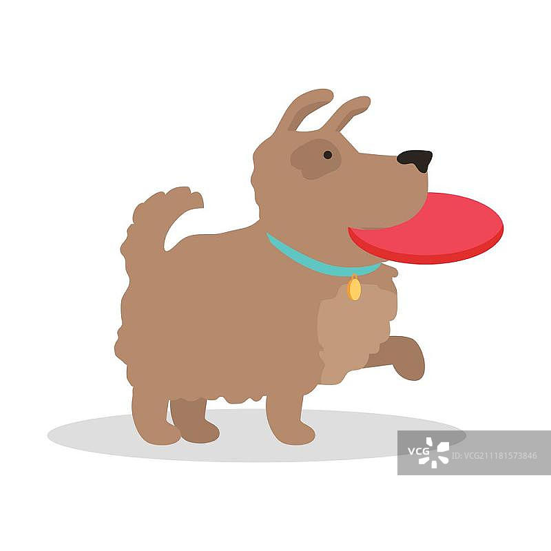 扁平风格的狗狗飞盘矢量插图。宠物概念banner、网页、App、图标、信息图表、标识设计。图片素材