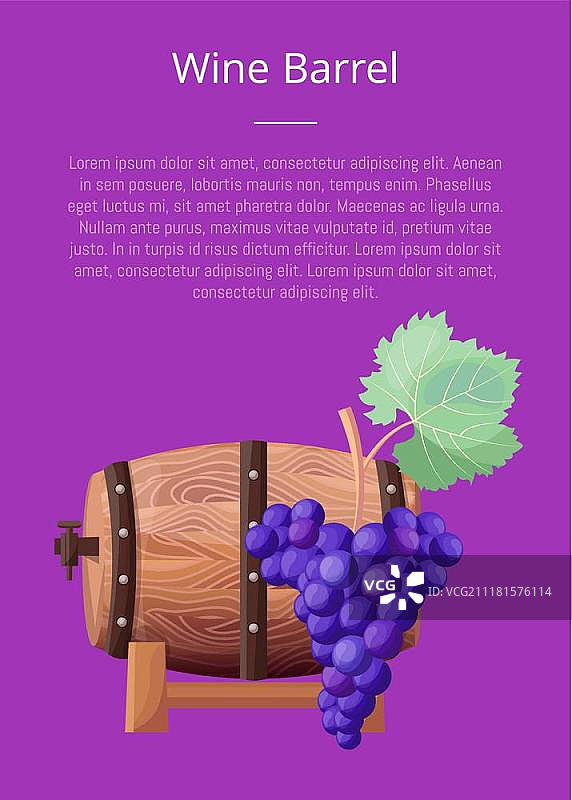 葡萄酒桶、文字和标题矢量插图。葡萄酒海报，包含木桶和成熟的蓝色葡萄，矢量插图在紫色背景上隔离图片素材
