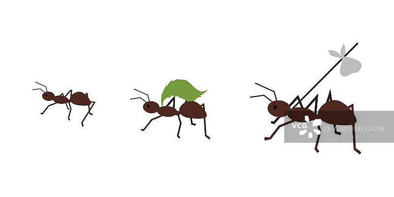 蚂蚁搬运绿叶扁平设计矢量图图片素材
