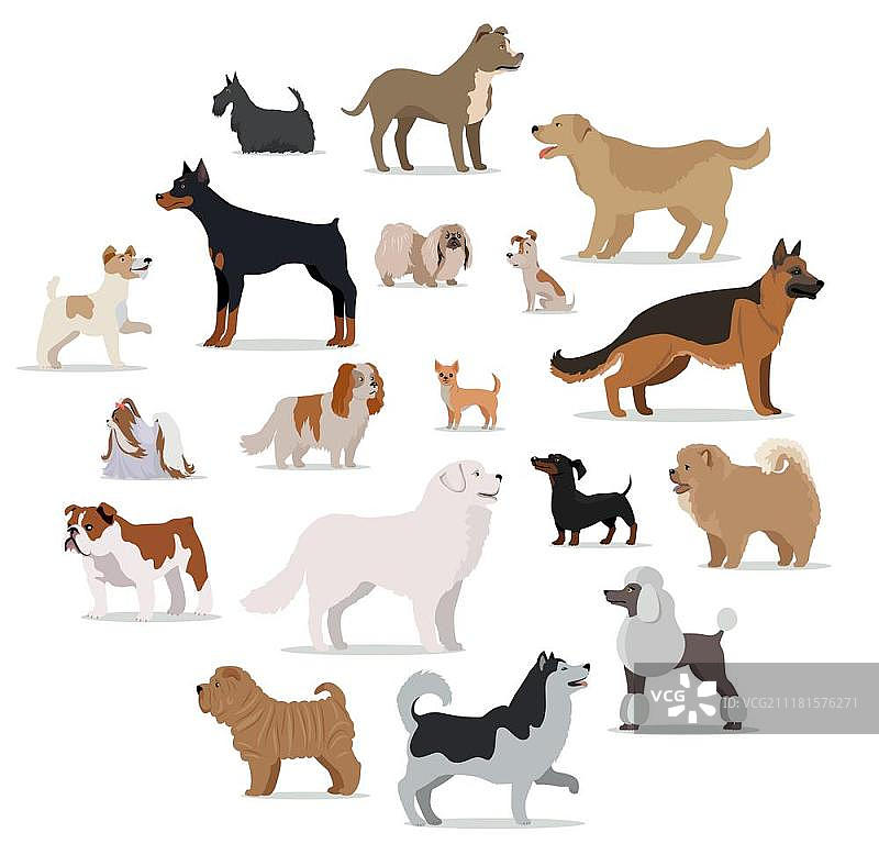 卡通风格的犬种集合图片素材