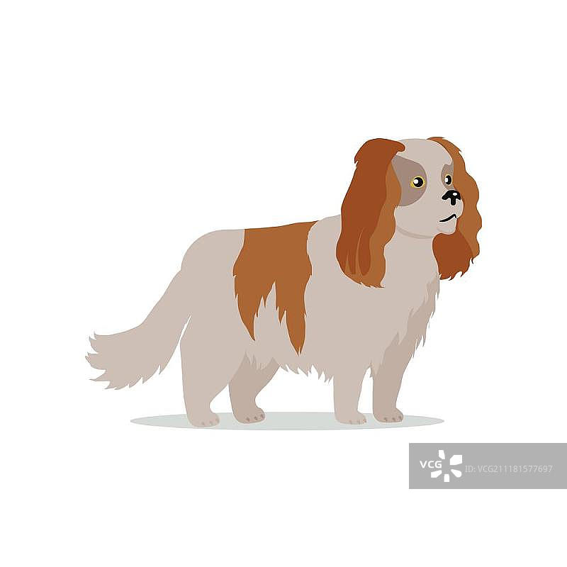 可卡犬扁平风设计矢量图图片素材