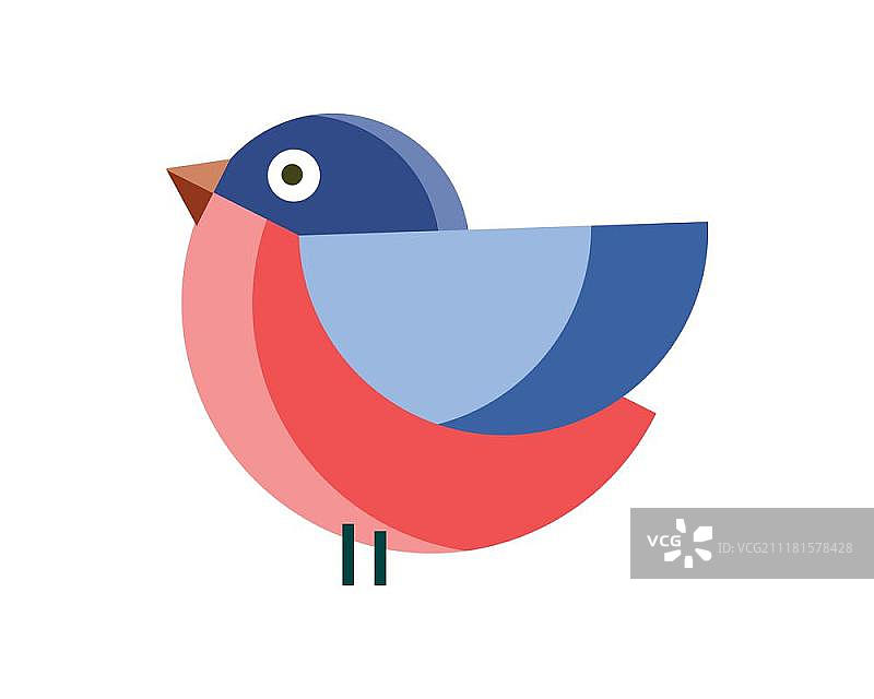 简约红腹灰雀矢量扁平设计插画图片素材