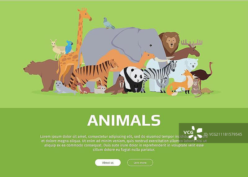 动物Banner：各种动物站在或坐在绿色背景上的网站模板，包含大象、长颈鹿、熊猫、狐狸等海报图片素材