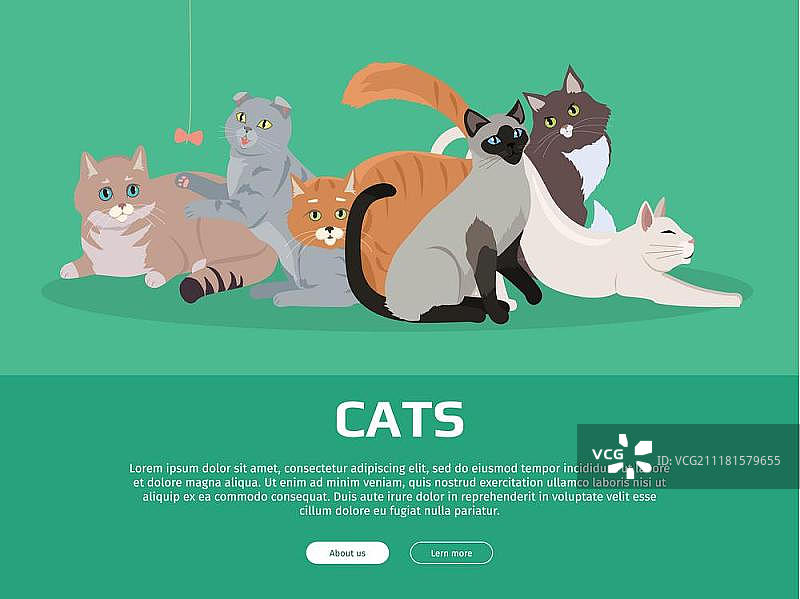 扁平风格可爱猫咪品种矢量banner图片素材