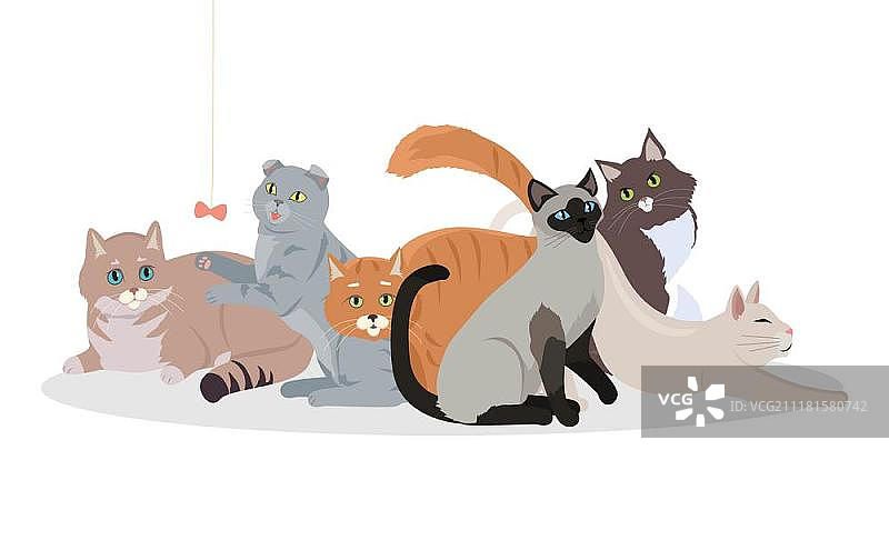 扁平风格可爱猫咪品种矢量banner图片素材
