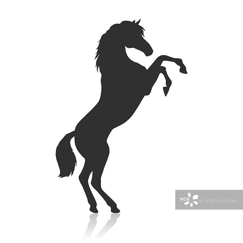 扁平化设计的后腿站立的斑纹马插画图片素材