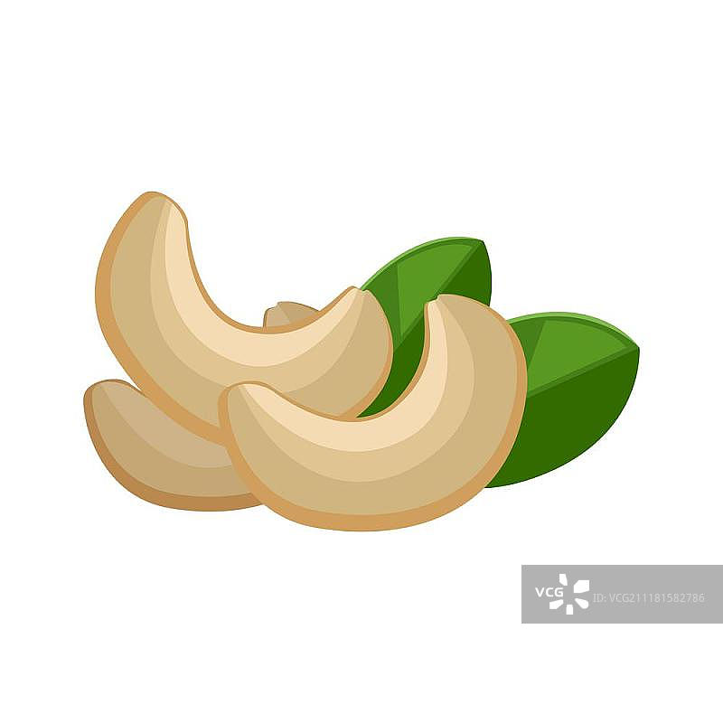 腰果插画图片素材