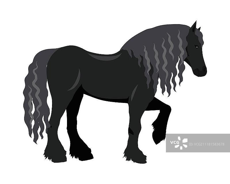 黑色挽马矢量图图片素材