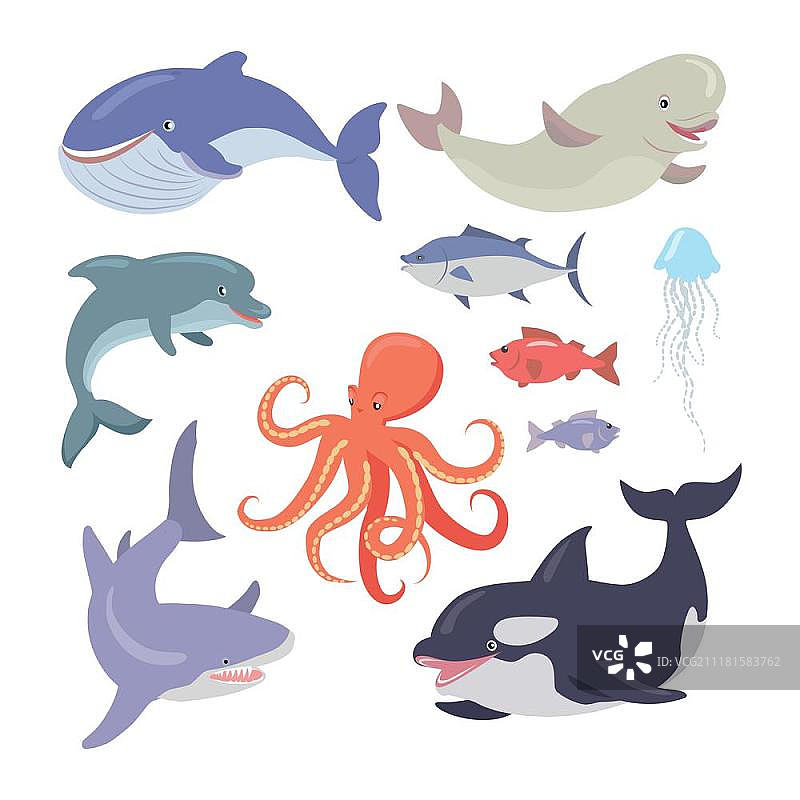 海洋生物矢量素材图片素材