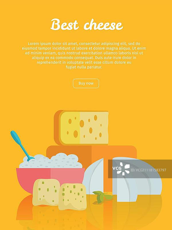 最佳奶酪banner，天然农场食品，橙色背景上的不同品种奶酪，天然农场食品，乳制品零售海报，扁平风格矢量图，乳制品网站模板图片素材