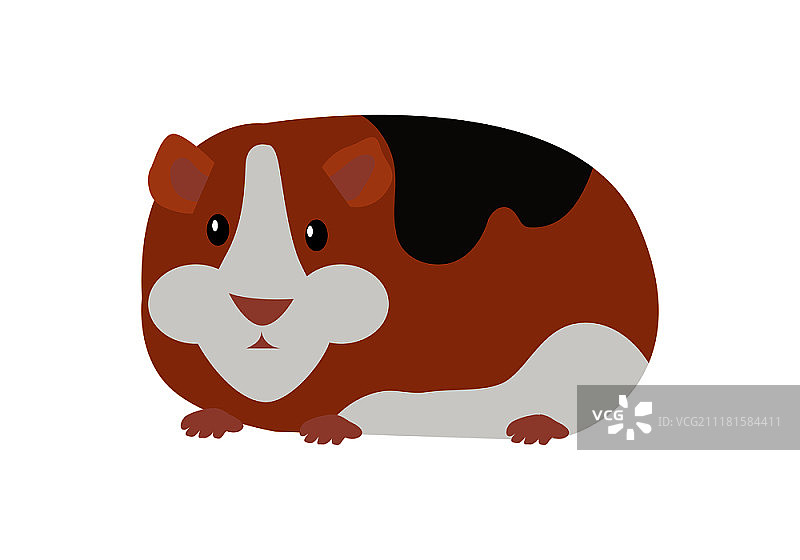 豚鼠卡通动物矢量图图片素材