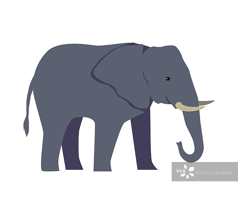 白色背景上的卡通大型哺乳动物大象矢量素材图片素材