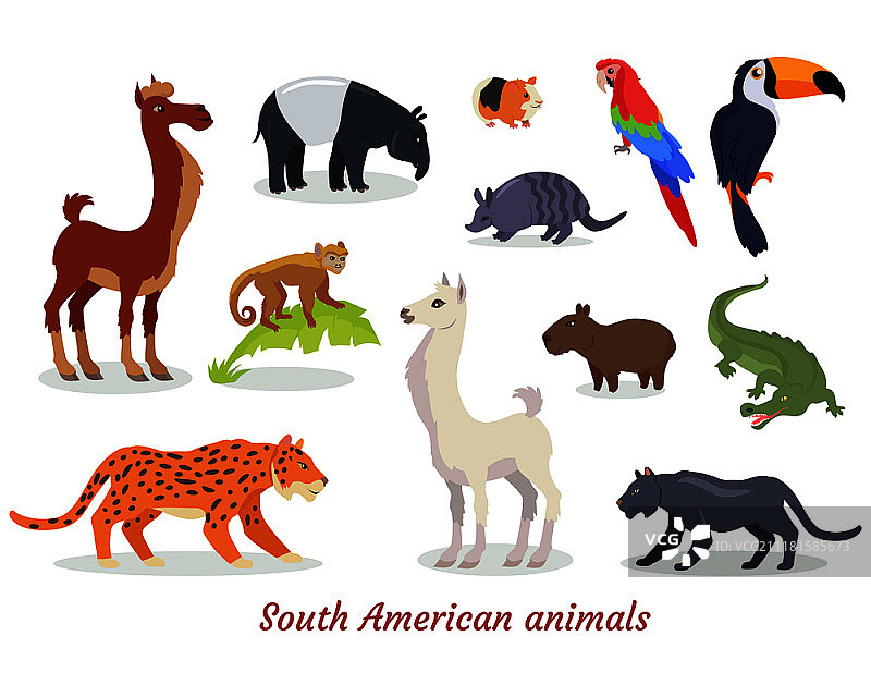 南美洲野生动物卡通角色合集。矢量图展现南美动物物种图片素材