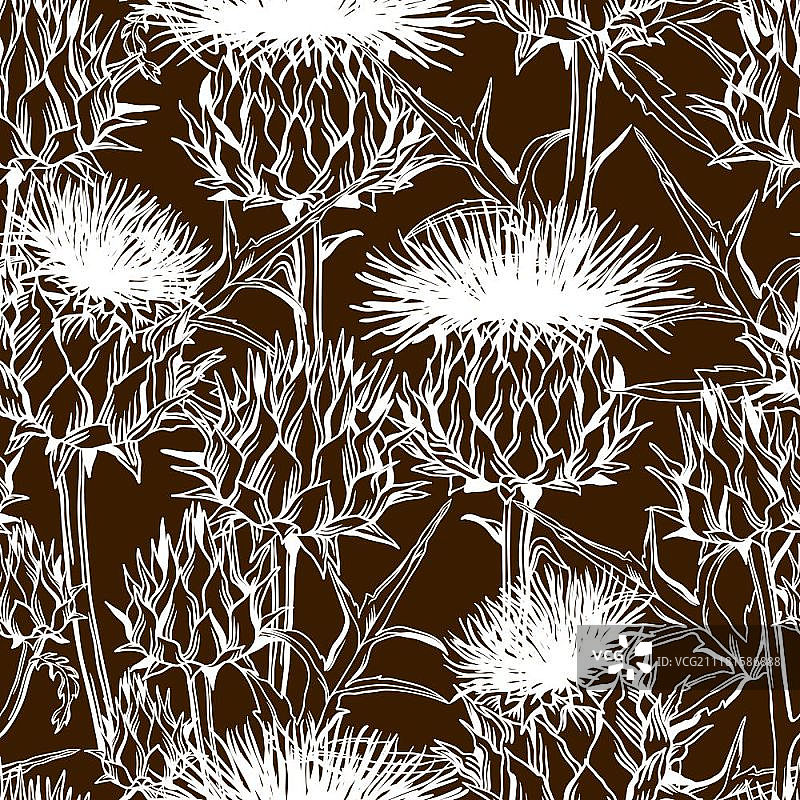 具有Onopordum Acanthium的无缝图案。苏格兰蓟。图片素材