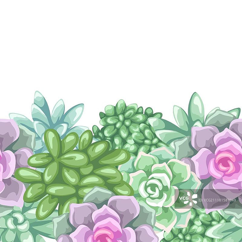 多肉植物无缝图案：石莲花、玉树和驴尾图片素材