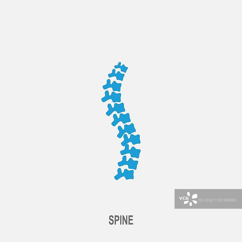 脊柱矢量图标。脊柱诊断和治疗符号图片素材