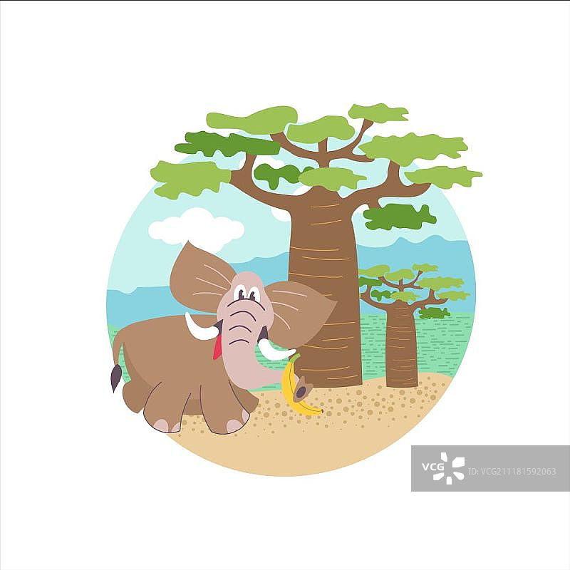 非洲卡通动物：猴面包树旁的非洲象矢量插画。非洲动植物，白色背景图片素材