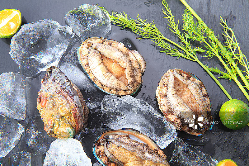 海鲜鲍鱼图片素材