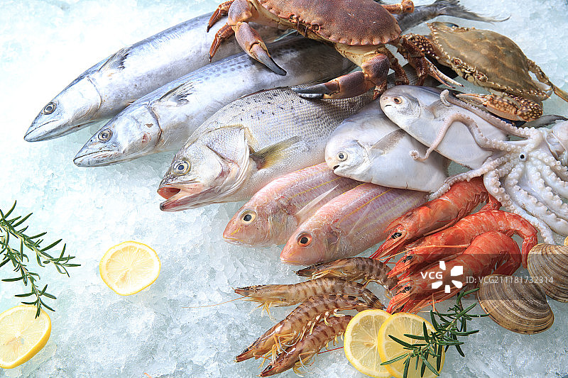 海鲜图片素材