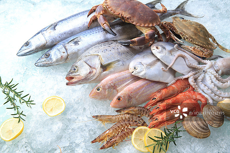 海鲜图片素材