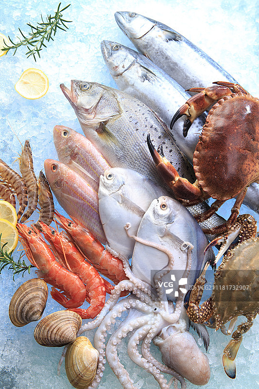 海鲜图片素材