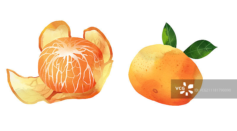 清新水彩风格植物系列图片素材