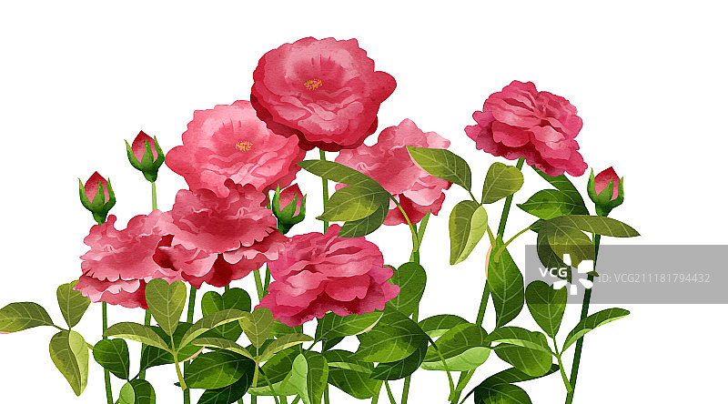 清新水彩风格植物系列图片素材