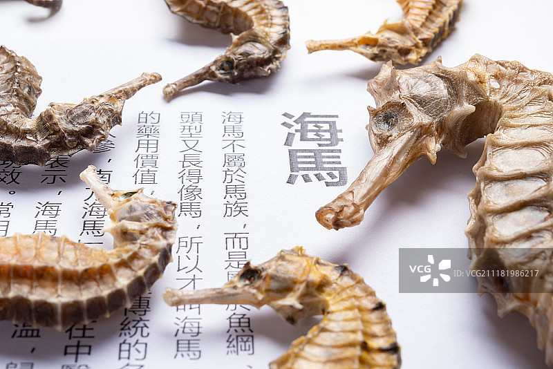 影棚拍摄中药海马干及海马介绍的特写图片素材