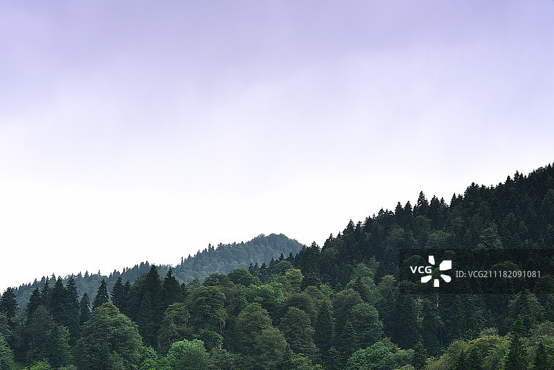 萨伊尔梅图片素材