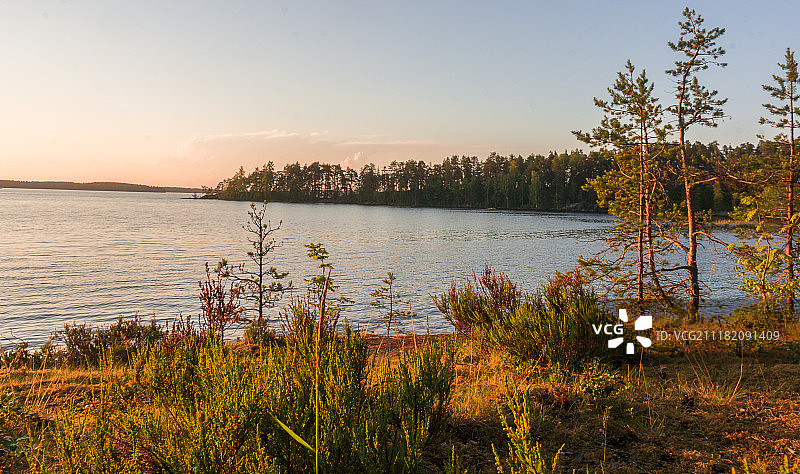 日落森林图片素材