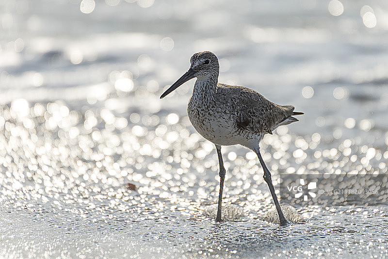 沿海的场景图片素材