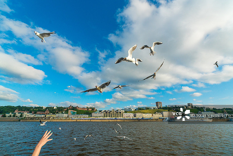 沿海的场景图片素材