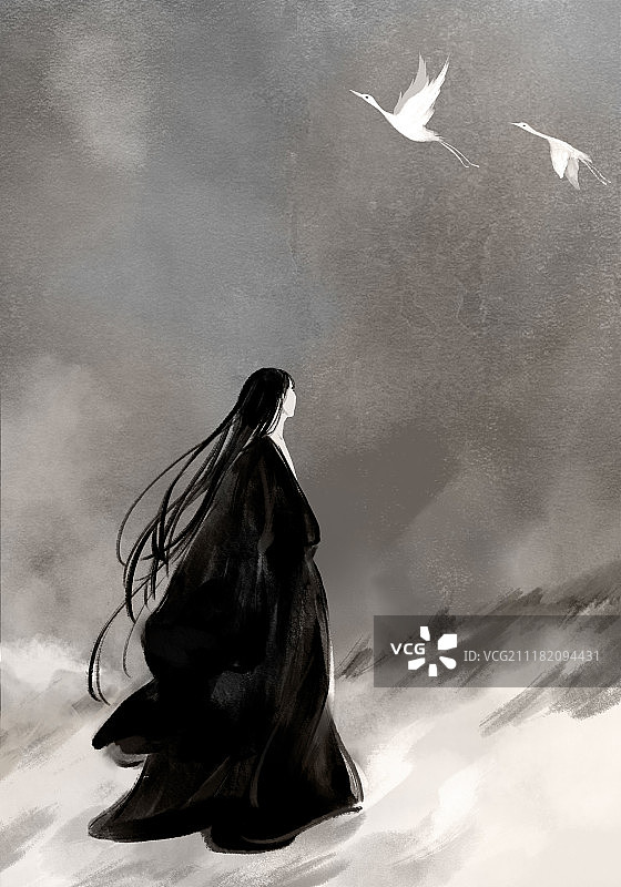 古风水墨-仰观白鹤图片素材