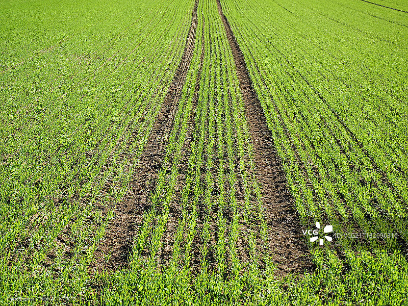 田径赛道图片素材