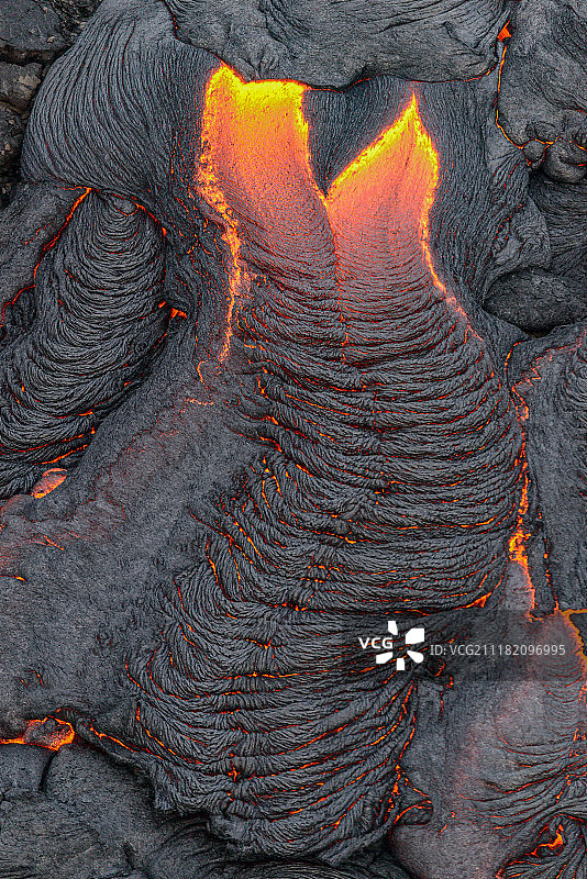 贝利的礼服图片素材