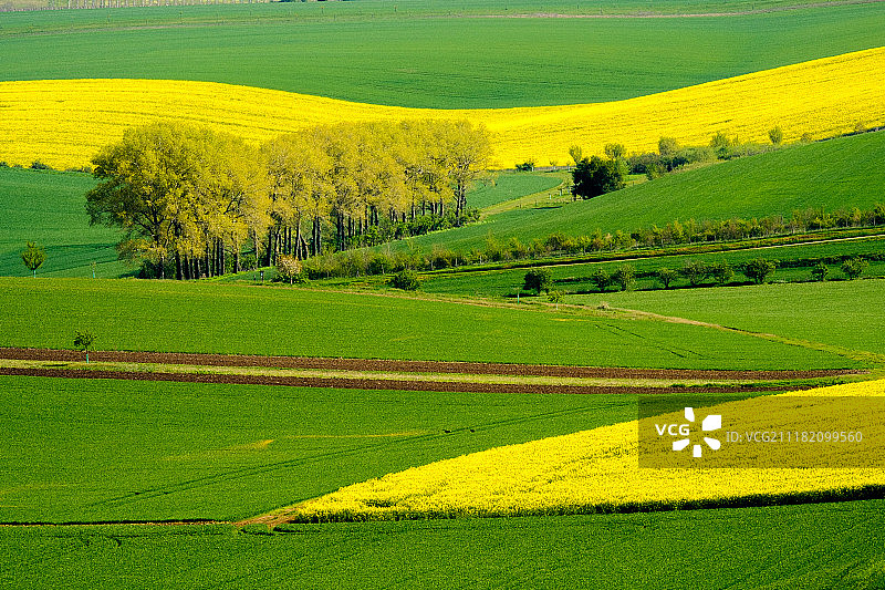 南摩拉维亚的波浪草地春季景观图片素材