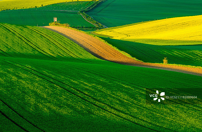 南摩拉维亚的波浪草地春季景观图片素材