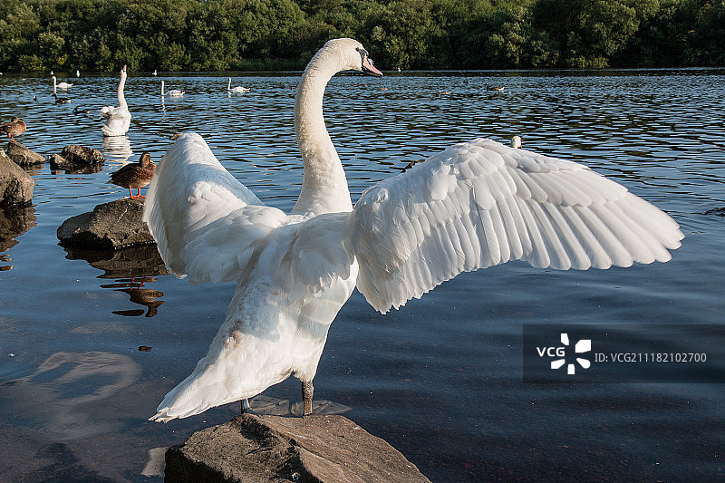 在彭宁顿闪光拍摄的少量照片图片素材